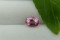 Vivid Pink Sapphire - 1.50 ct - Oval Antique Cut - IGL Certified - Eye Clean