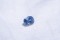 Vivid Blue Sapphire - 1.7 ct - AGL Certified - Cushion Cut - Heated