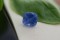 Unheated Velvet Blue Sapphire - 4.55 ct - Antique Cushion Cut - IGL Certified