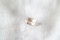 Pastel Orange-Pink Sapphire - 1.16 ct - GIA Certified - Unheated