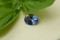 Vivid Cornflower Blue-White Sapphire - 1.509 ct - AGL Certified - Oval Cut