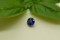 Cornflower Blue Sapphire - 0.80 ct - Round Cut - GIA Certified - Eye Clean