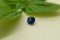 Cornflower Blue Sapphire - 0.80 ct - Round Cut - GIA Certified - Eye Clean