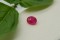 1.05 ct Ruby Purplish Red, Untreated, Oval, IGL Certified, Slightly Included -