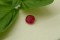 1 ct Ruby - Purplish Red - Cushion Cut - Untreated - IGL Certified -