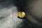 Vivid Yellow Sapphire - 1.20 ct - Oval Cut - Unheated - GIA Certified