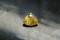 Vivid Yellow Sapphire - 2.40 ct - AGL Certified - Triangular Cut - Unheated