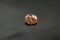 Premium - Pink-Orange Padparadscha Sapphire - 1.387 ct - IGL Certified