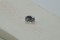 Vivid White Sapphire - 1.20 ct - Cushion Cut - GIA Certified - Eye Clean