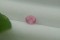 Neon Pink Mahenge Spinel - 1 ct - Oval Cut - IGL Certified - Unheated - SI