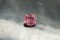 2.104 ct - Vivid Pastel Orange-Pink Spinel - AGL Certified - No Heat - Octagon Cut