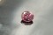 IGL Certified - 2.684 ct Vivid Orange-Pink Rhodolite Garnet - Eye Clean - Oval Cut -