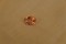 Padparadscha Sapphire - 1.14 ct - GIA Certified - Unheated - Tableless Cut